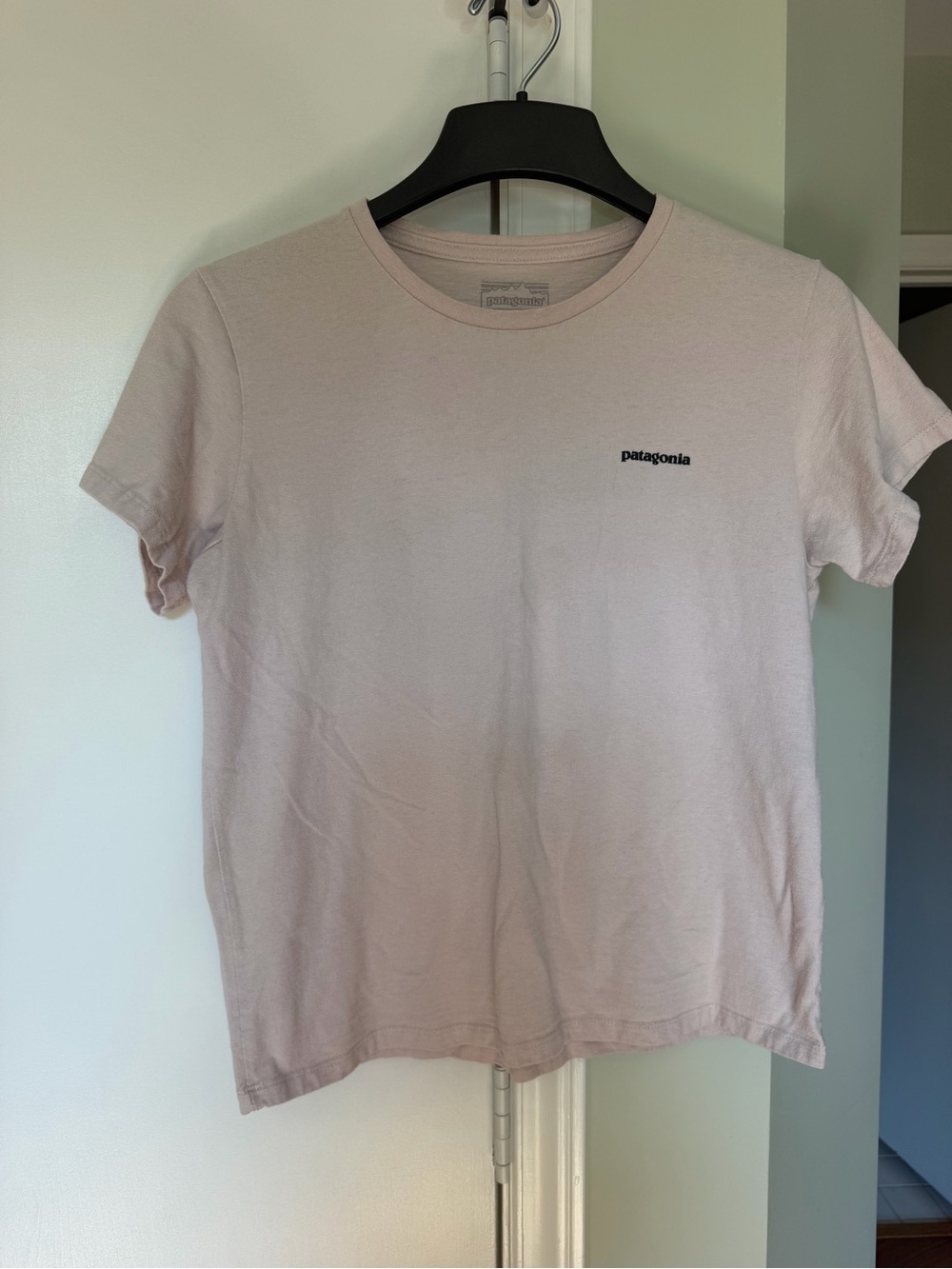 Patagonia Women’s Crew Tee — Pale Pink
